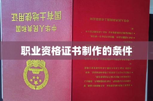 苏家屯职业资格证书制作的条件