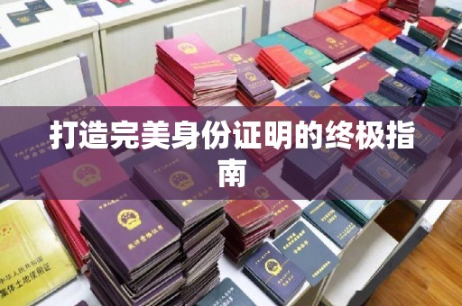 苏家屯打造完美身份证明的终极指南