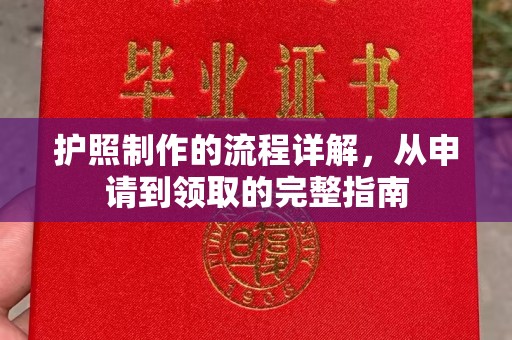 苏家屯护照制作的流程详解，从申请到领取的完整指南