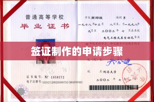苏家屯签证制作的申请步骤