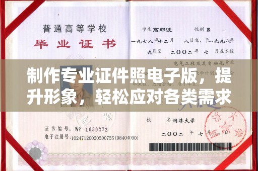 苏家屯制作专业证件照电子版，提升形象，轻松应对各类需求