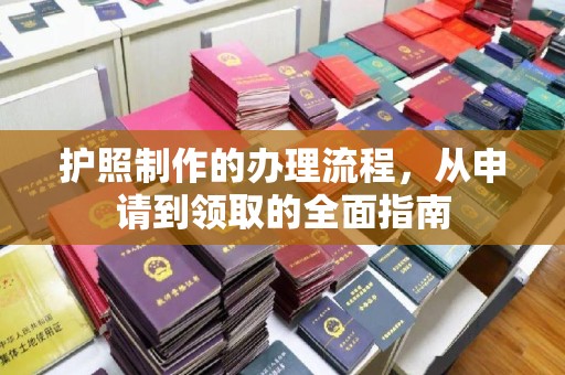 苏家屯护照制作的办理流程，从申请到领取的全面指南