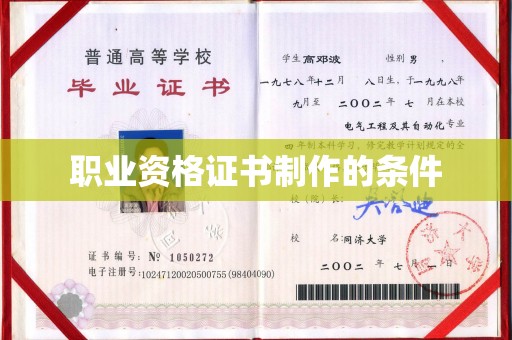 苏家屯职业资格证书制作的条件