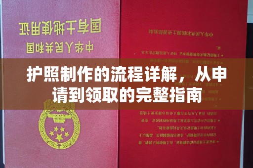 苏家屯护照制作的流程详解，从申请到领取的完整指南