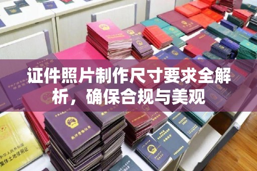苏家屯证件照片制作尺寸要求全解析，确保合规与美观