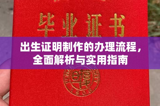 苏家屯出生证明制作的办理流程，全面解析与实用指南
