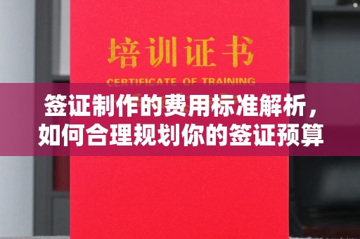 苏家屯签证制作的费用标准解析，如何合理规划你的签证预算