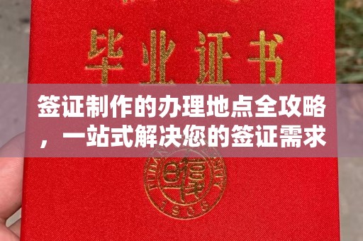苏家屯签证制作的办理地点全攻略，一站式解决您的签证需求