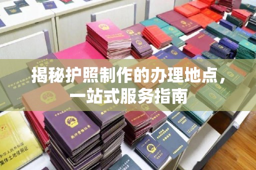 苏家屯揭秘护照制作的办理地点，一站式服务指南