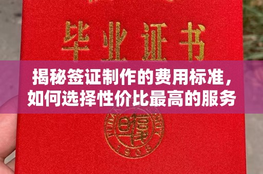 苏家屯揭秘签证制作的费用标准，如何选择性价比最高的服务？