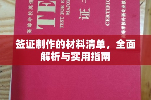 苏家屯签证制作的材料清单，全面解析与实用指南