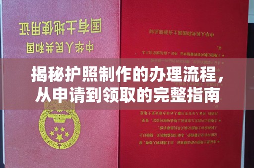 苏家屯揭秘护照制作的办理流程，从申请到领取的完整指南