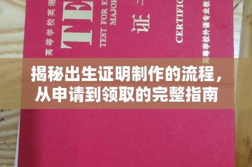 苏家屯揭秘出生证明制作的流程，从申请到领取的完整指南