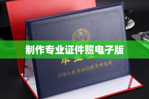 苏家屯制作专业证件照电子版