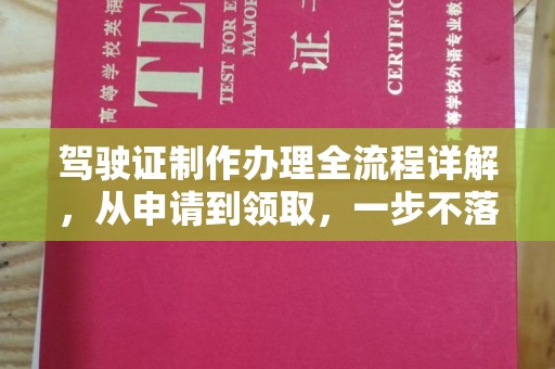 苏家屯驾驶证制作办理全流程详解，从申请到领取，一步不落