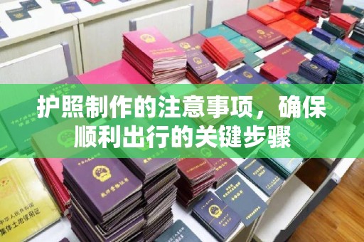 苏家屯护照制作的注意事项，确保顺利出行的关键步骤