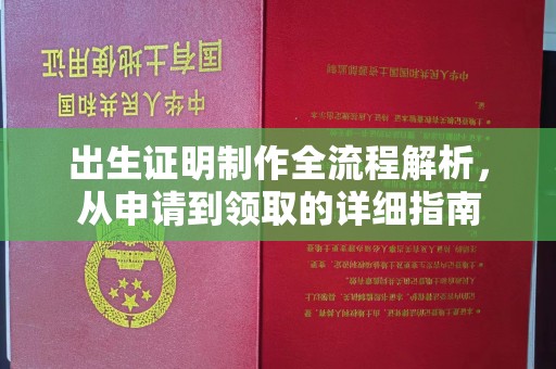 苏家屯出生证明制作全流程解析，从申请到领取的详细指南