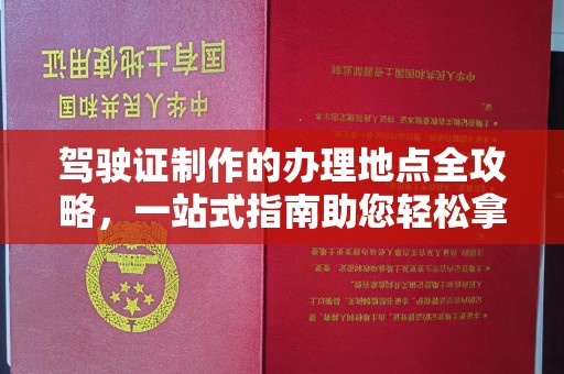 苏家屯驾驶证制作的办理地点全攻略，一站式指南助您轻松拿证