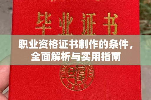 苏家屯职业资格证书制作的条件，全面解析与实用指南